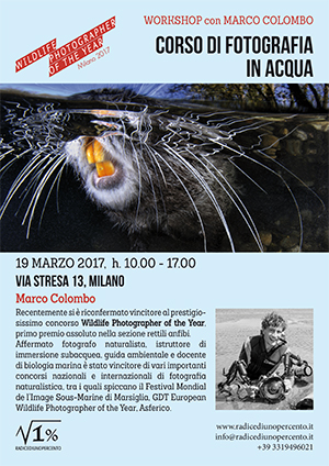 seminario teorico di fotografia in acqua