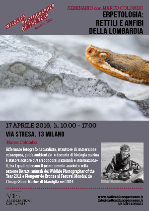 Seminario di erpetologia a Milano (rettili e anfibi di Lombardia)