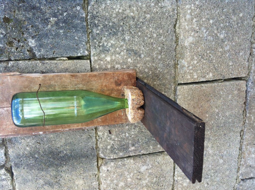 Piccolo riparo invernale