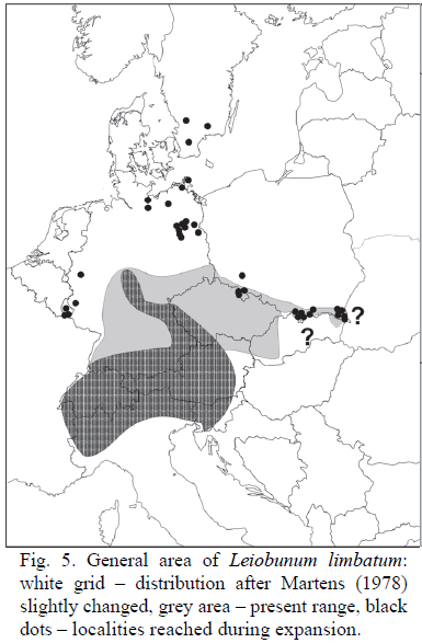 Leiobunum limbatum sui Berici