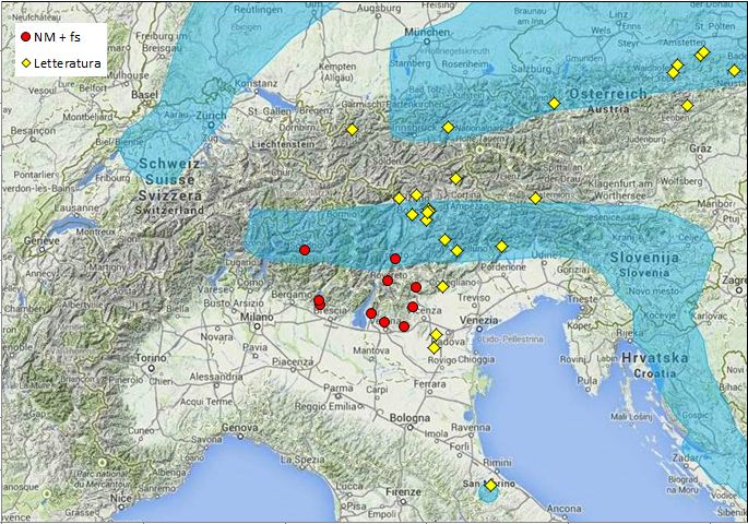 Glomeris pustulata - aggiornamento