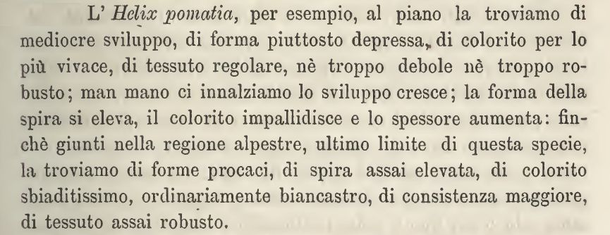 Helix pomatia d''alta quota?