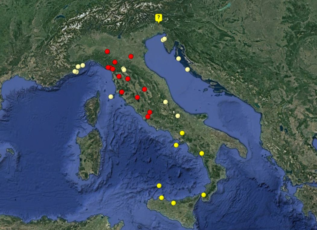 Testacella scutulum