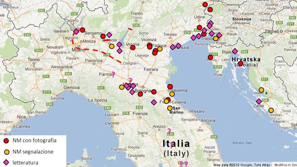 distribuzione di Helix cincta