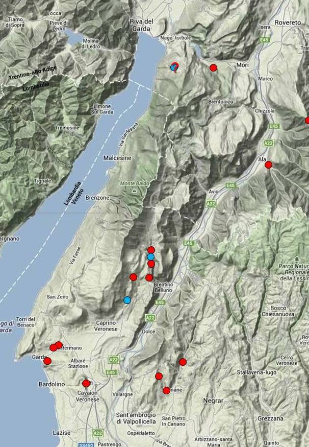 Dov'' il limite occidentale di Chilostoma illyricum?