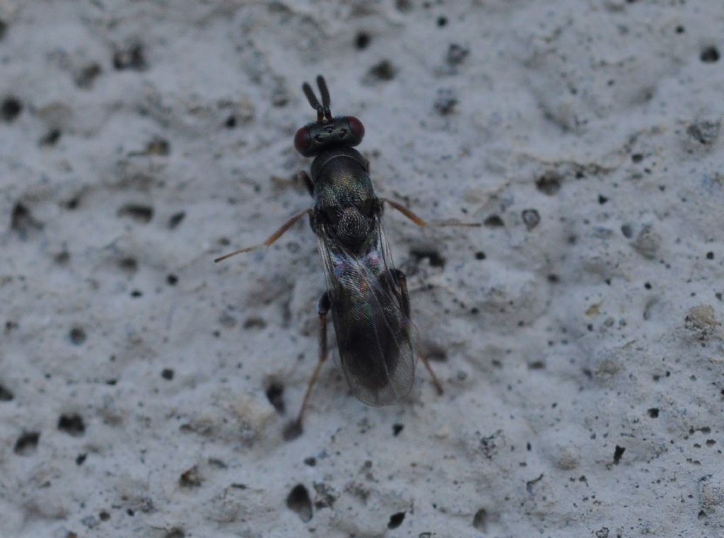 da identificare (2)