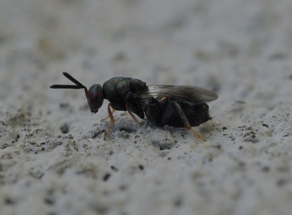 da identificare (2)