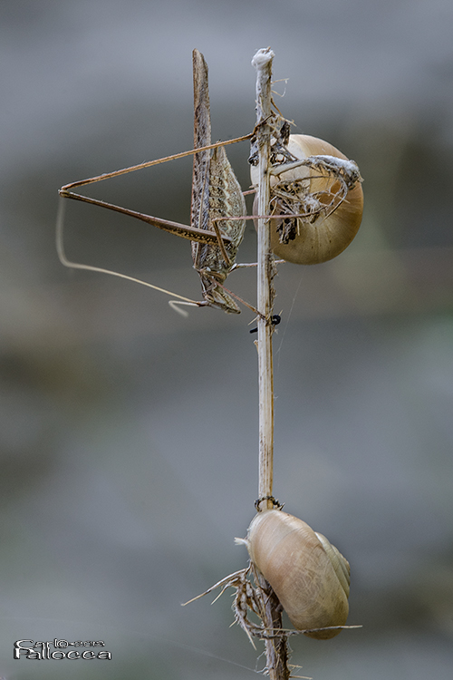 ...spazi condivisi....