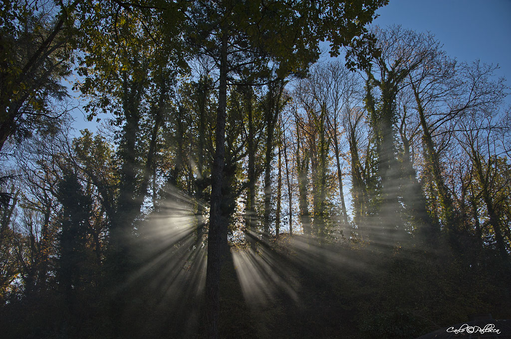 ..finalmente un p di sole