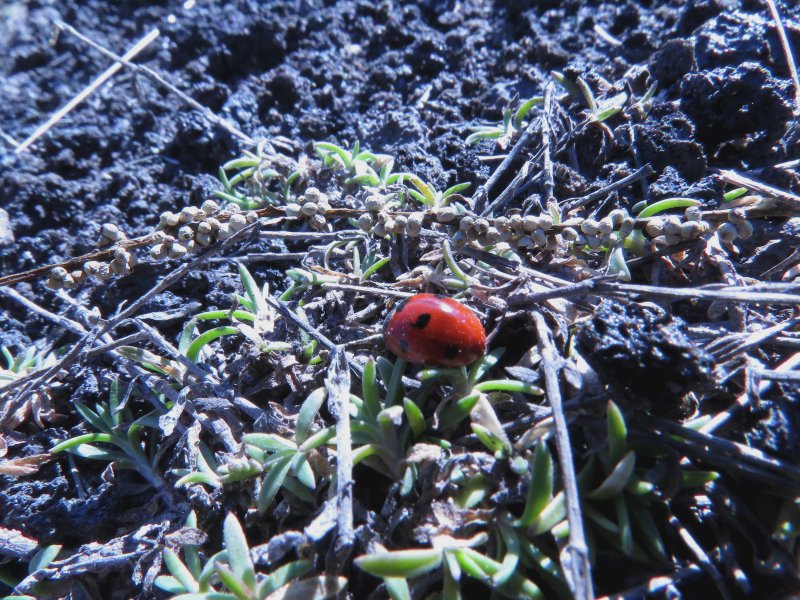 Appuntamento in Svizzera