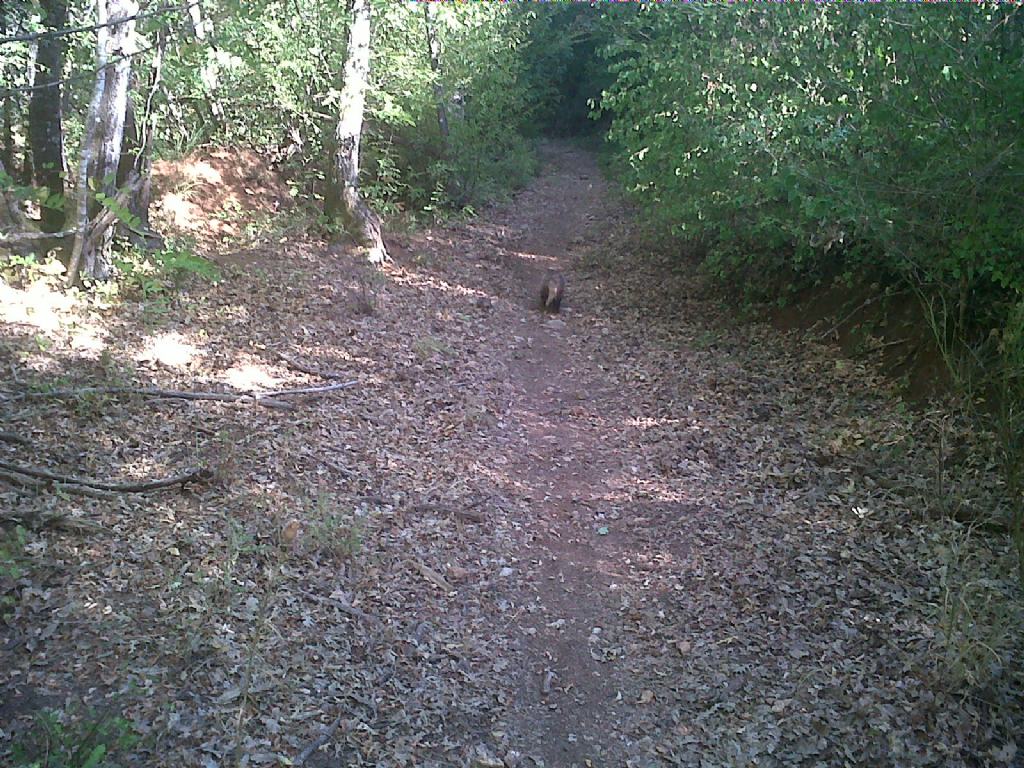 Running... con il tasso!