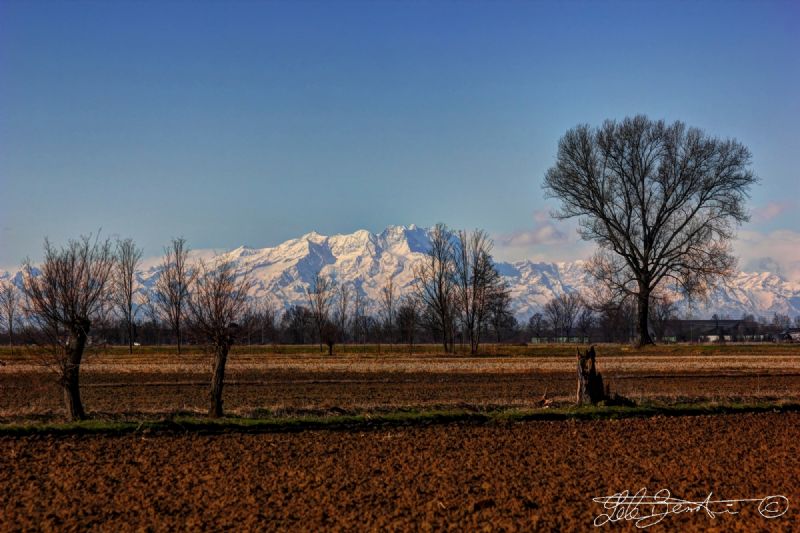 monte rosa