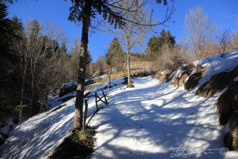 La Valle dell''Aveto