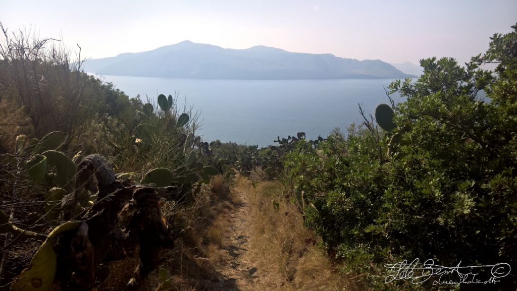 Monte Fossa delle Felci 962m . Isola di Salina - Eolie