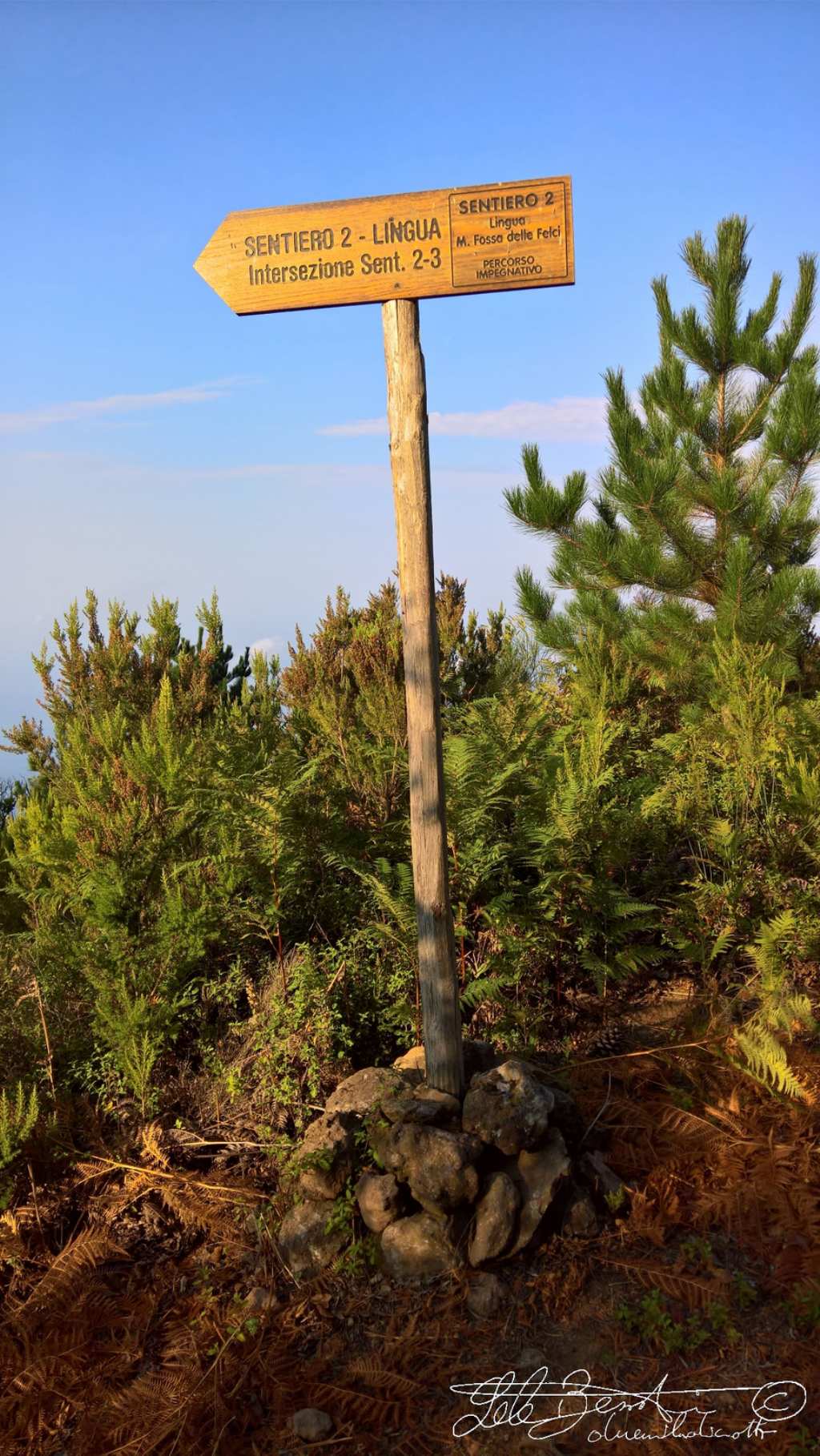 Monte Fossa delle Felci 962m . Isola di Salina - Eolie