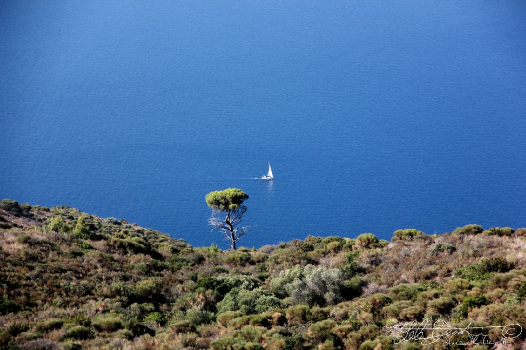 Monte Fossa delle Felci 962m . Isola di Salina - Eolie