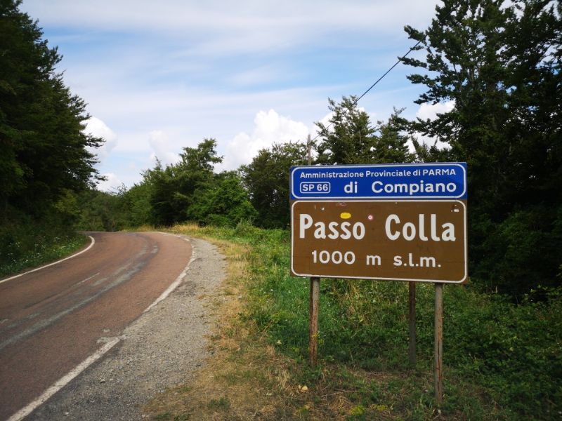 Di passo in passo...