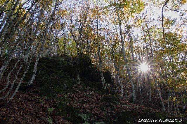 Monte Dego 1427m. Appennino Ligure