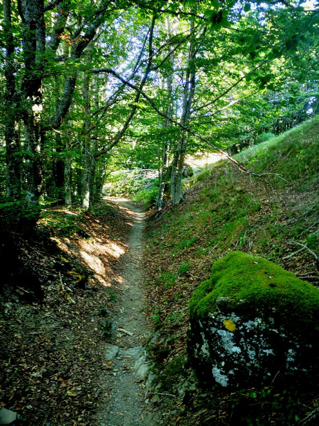 Monte Dego 1427m. Appennino Ligure