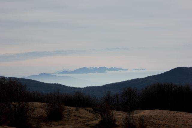 Monte Carevolo m.1552 Appennino Ligure