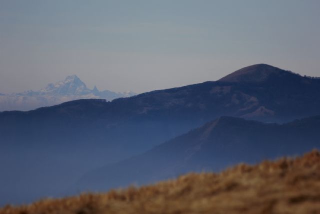 Monte Carevolo m.1552 Appennino Ligure