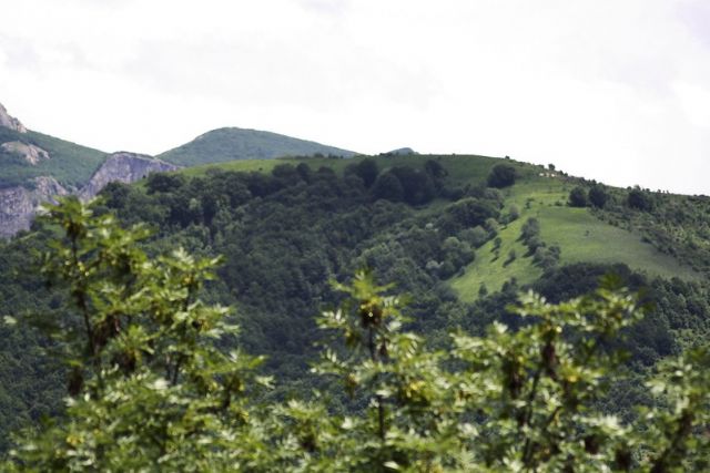 Monte di Mezzo 1322m - Appennino Ligure