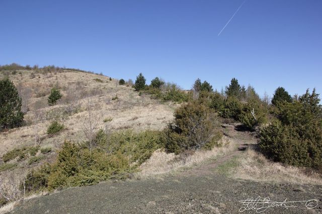 Monte di Mezzo 1322m - Appennino Ligure