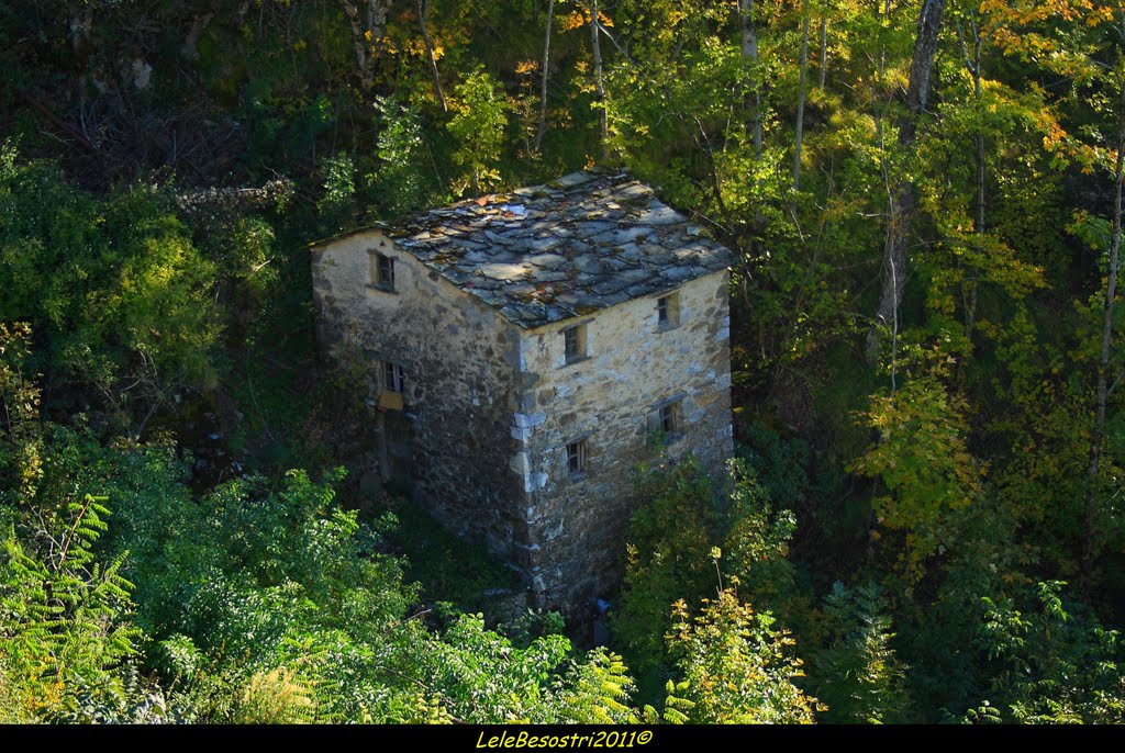 La Valle dell''Aveto