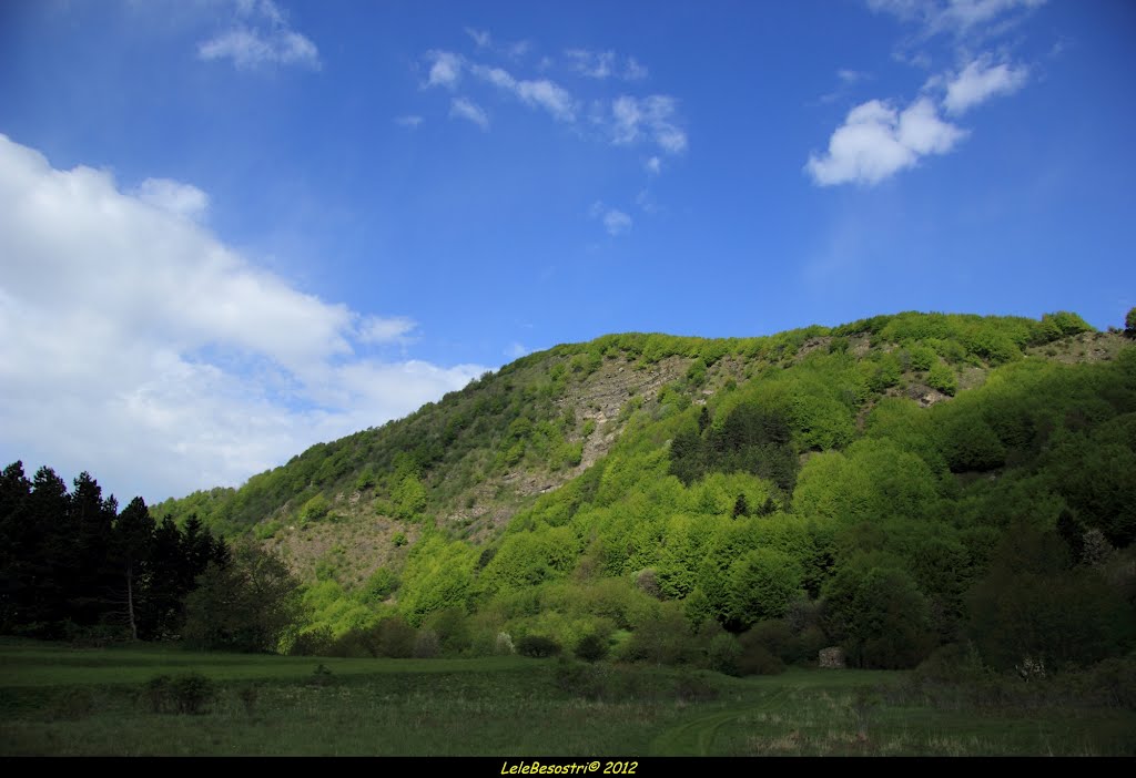 La Valle dell''Aveto