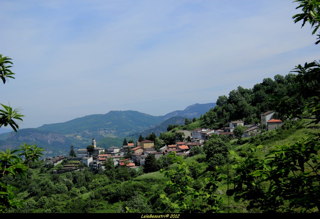 La Valle dell''Aveto