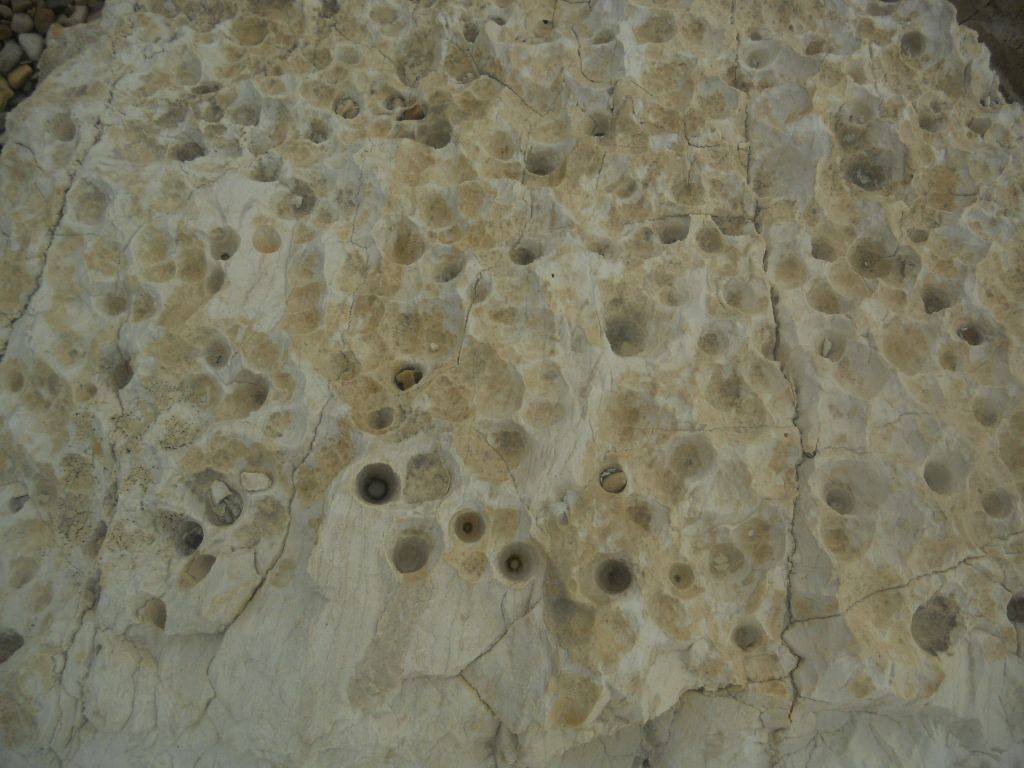 Minerali