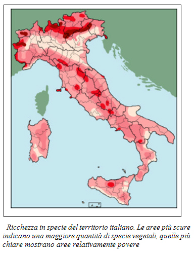 un''Oasi di nome e di fatto