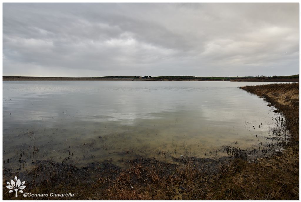 laghi di Puglia: Capacciotti