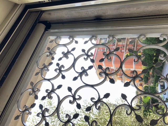 ciao a tutti aiutatemi a capire di che si tratta gechi, ratti, pipistrello?