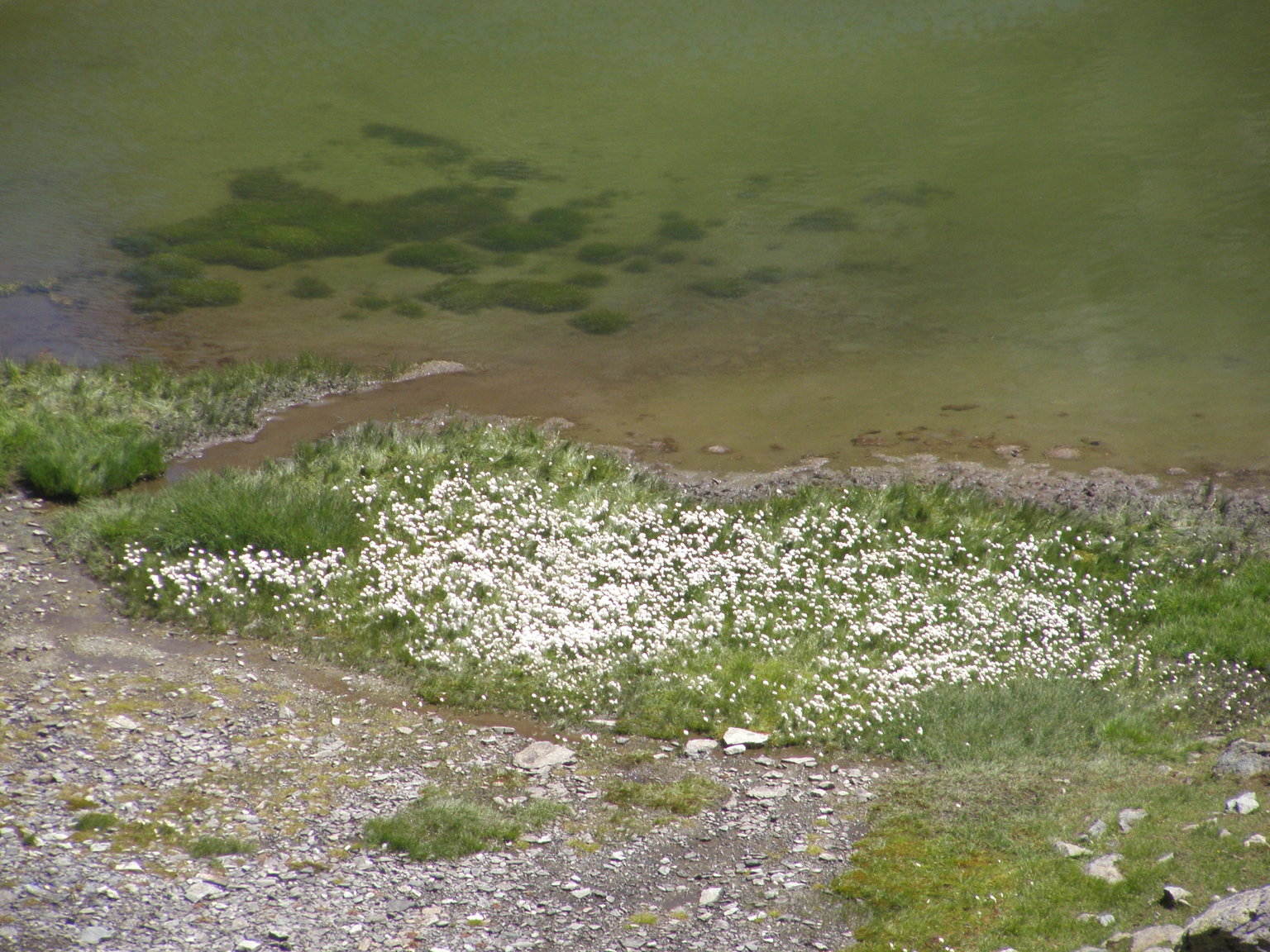 Laghi......della VALLE D''AOSTA