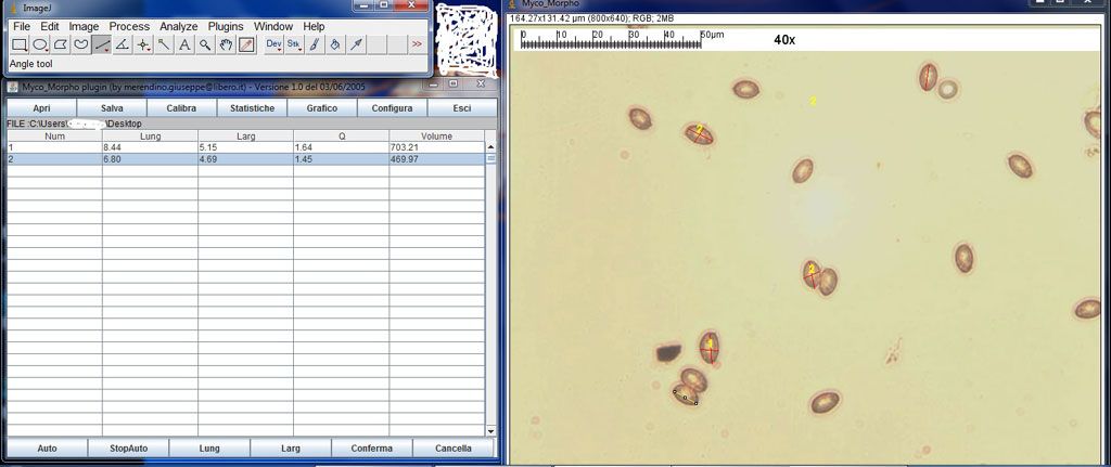 misurazioni al microscopio