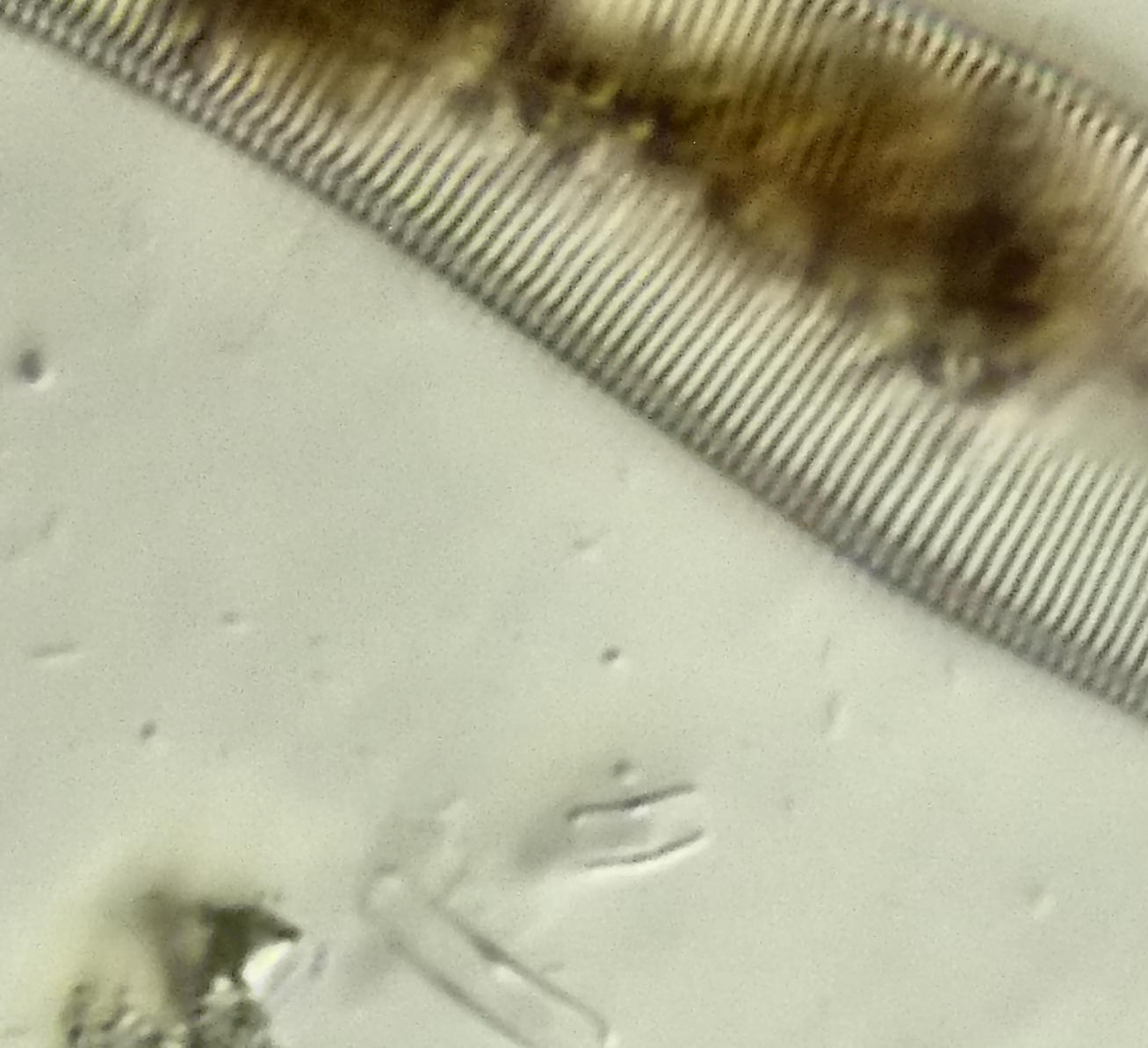 una povera Fujifilm............ chissa che fine far�