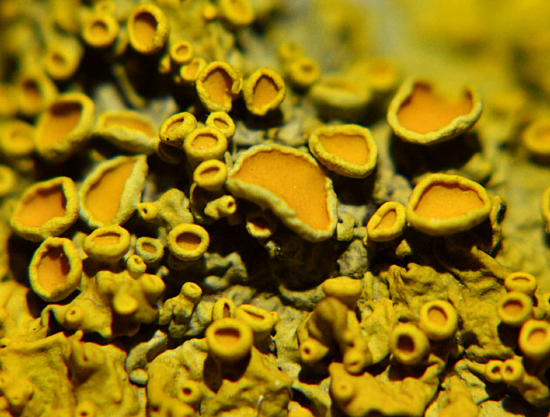 saluti e da identificare