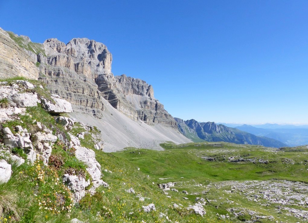 Nigritella buschmanniae e la storiella del Grost:16 luglio 2016