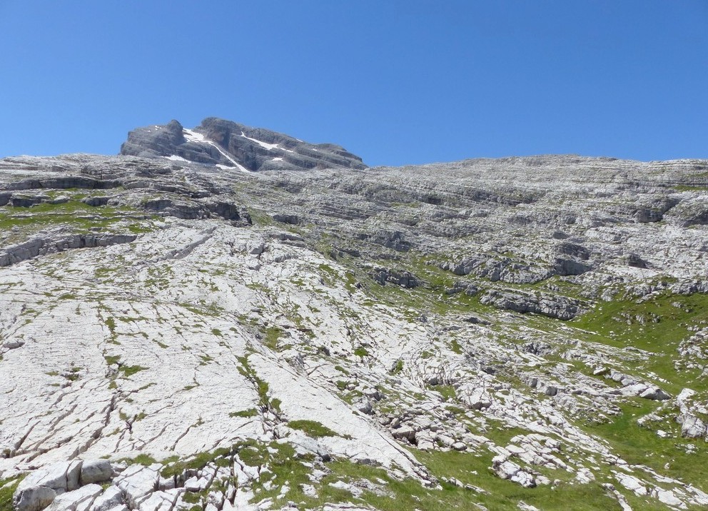 Nigritella buschmanniae e la storiella del Grost:16 luglio 2016