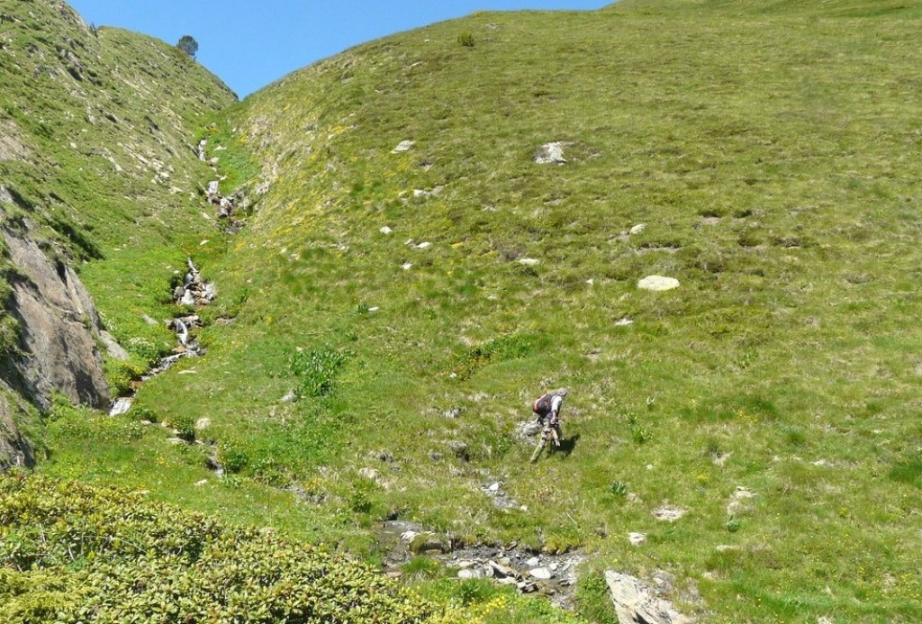 Nigritella gabasiana - Andorra e Catalogna 25_29 giugno 2016