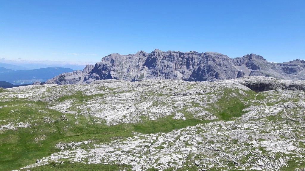 Nigritella buschmanniae e la storiella del Grost:16 luglio 2016