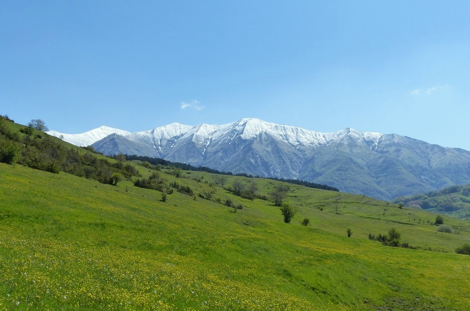 Amatrice e le sue orchidee; la distruzione e la voglia di ricominciare.