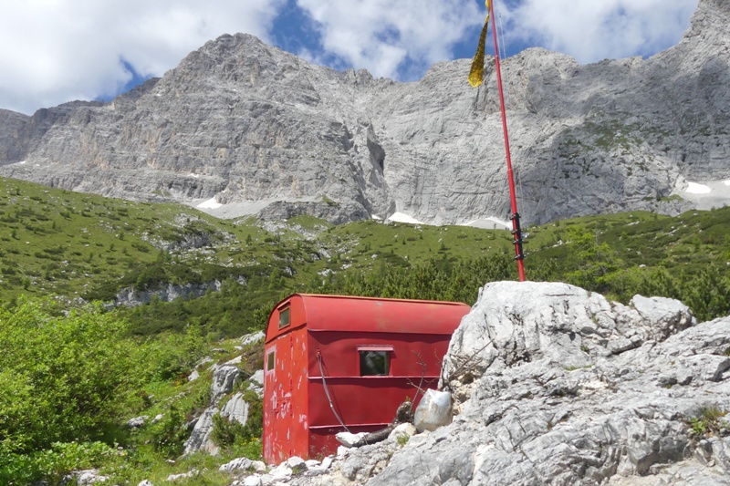 Nigritella widderi  Dolomiti di Zoldo 4 luglio 2018