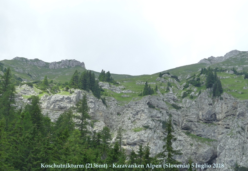 Nigritella in Slovenia: N.kossutensis, N.karawankarum, N.ravnikii  5 luglio 2018