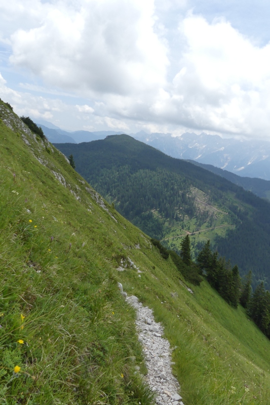 Nigritella in Slovenia: N.kossutensis, N.karawankarum, N.ravnikii  5 luglio 2018