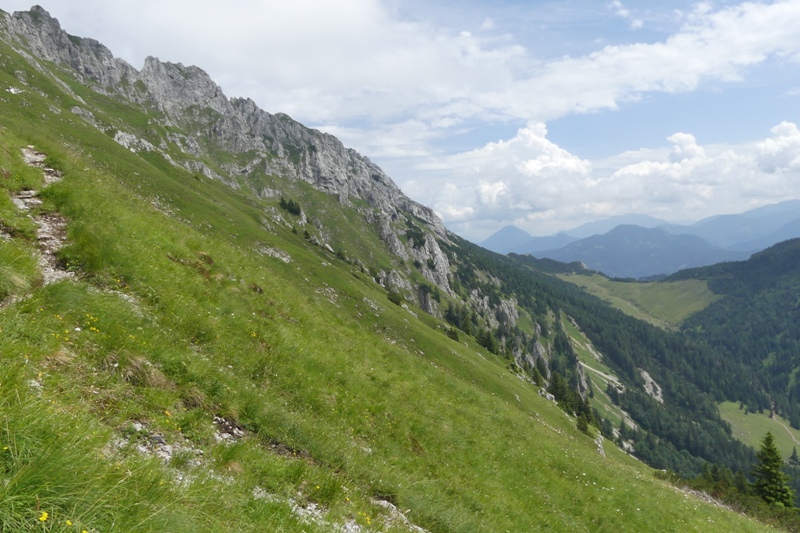 Nigritella in Slovenia: N.kossutensis, N.karawankarum, N.ravnikii  5 luglio 2018