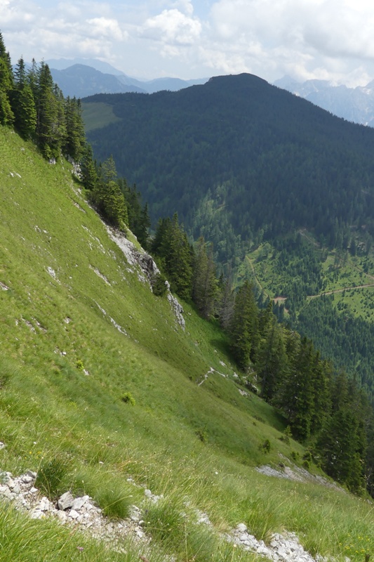 Nigritella in Slovenia: N.kossutensis, N.karawankarum, N.ravnikii  5 luglio 2018