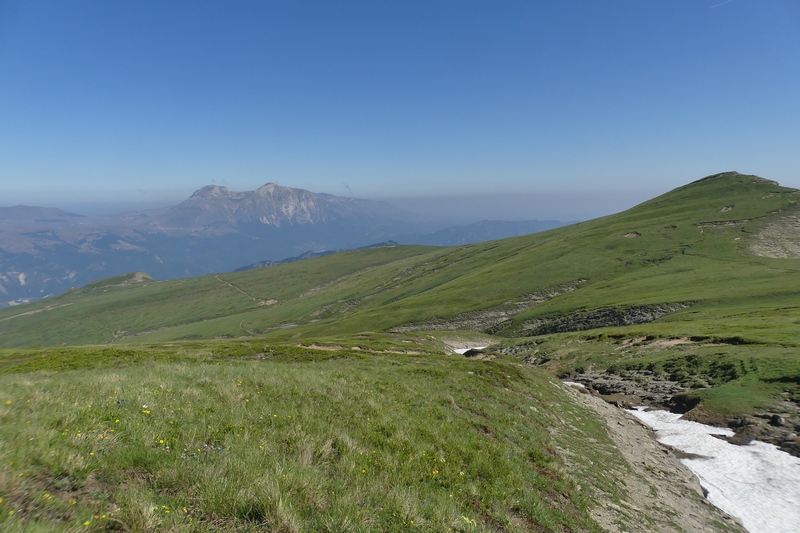 Nigritella widderi sui Monti della Laga (Rieti/LAquila) luglio 2019