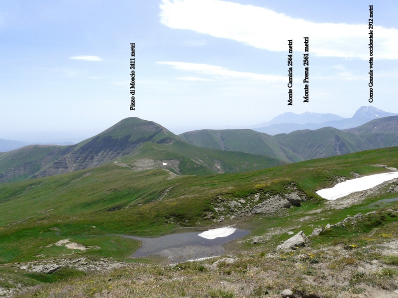 Nigritella widderi sui Monti della Laga (Rieti/LAquila) luglio 2019